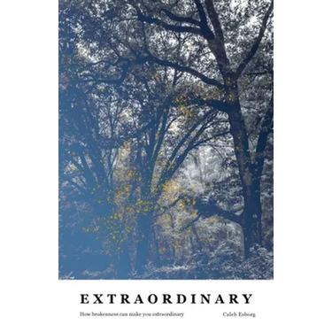 Extraordinary: How brokenness can make you extraordinary