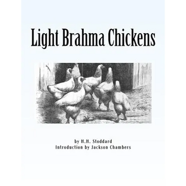Light Brahma Chickens: Chicken Breeds Book 25