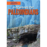 Life Among the Paleoindians