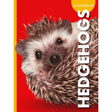 Curious about Hedgehogs