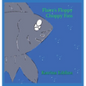 Flaire's Floppy Choppy Fins