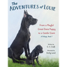 The Adventures of Louie: From a Playful Great Dane Puppy to a Gentle Giant