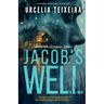 Jacob's Well: A Twisty Christian Mystery Novel
