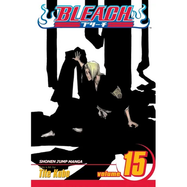 Bleach, Vol. 15: Beginning of the Death of Tomorrow
