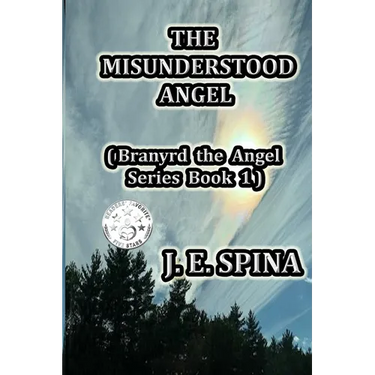 The Misunderstood Angel: Branyrd the Angel Series Book 1