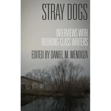 Stray Dogs: Interviews with Working-Class Writers