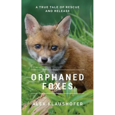 Orphaned Foxes: A True Tale of Rescue and Release