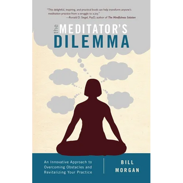 The Meditator's Dilemma: An Innovative Approach to Overcoming Obstacles and Revitalizing Your Practice
