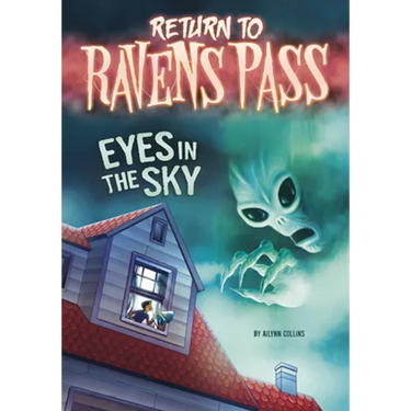 Eyes in the Sky