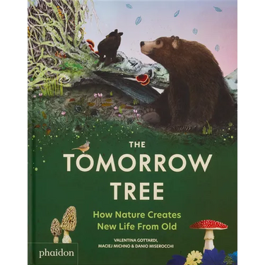 The Tomorrow Tree: How Nature Creates New Life from Old
