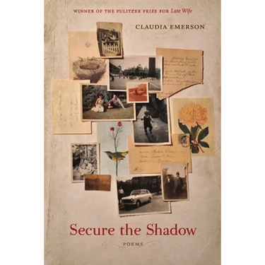 Secure the Shadow