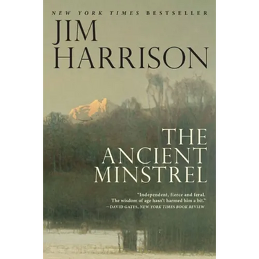 The Ancient Minstrel: Novellas