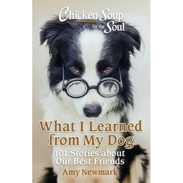 Chicken Soup for the Soul: What I Learned from My Dog: 101 Stories about Our Best Friends