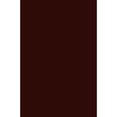 Manual of Plainsong for Divine Service