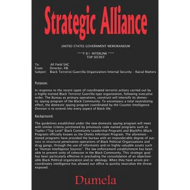 Strategic Alliance