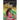 Becoming Princess Eden: Book One: How They Met