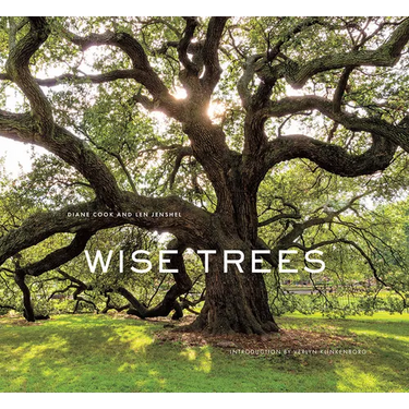 Wise Trees