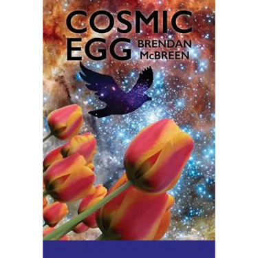 Cosmic Egg