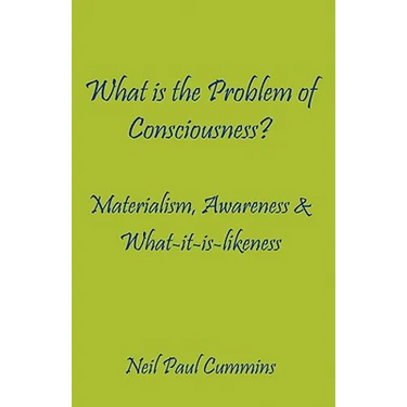 What is the Problem of Consciousness?: Materialism, Awareness & What-it-is-likeness