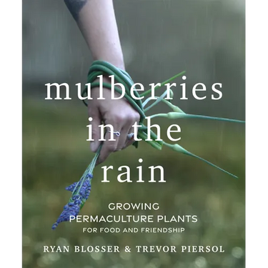 Mulberries in the Rain: Growing Permaculture Plants for Food and Friendship