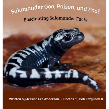 Salamander Goo, Poison, and Poo? Fascinating Salamander Facts