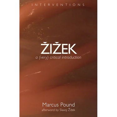 Zizek: A (Very) Critical Introduction