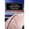 Growing Multicultural Churches: Proven growth factors that impact multicultural churches