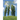 World Without End