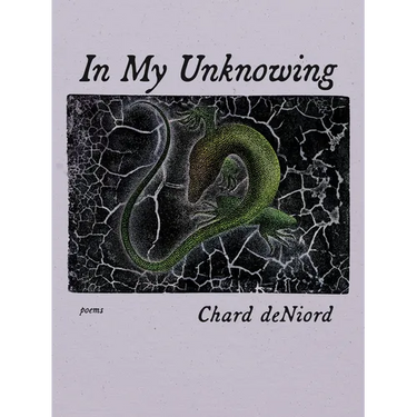 In My Unknowing: Poems