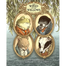 The Wind in the Willows: With Illustrations by David Petersen