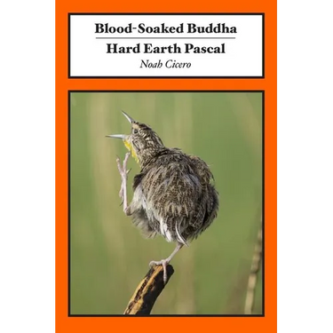 Blood-Soaked Buddha/Hard Earth Pascal