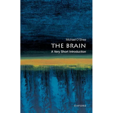The Brain: A Very Short Introduction