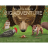 The Little Acorn's Big Adventure