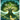The Olive Tree's Secret