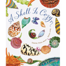 A Shell Is Cozy