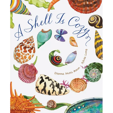 A Shell Is Cozy