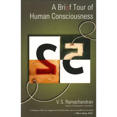 A Brief Tour of Human Consciousness: From Impostor Poodles to Purple Numbers