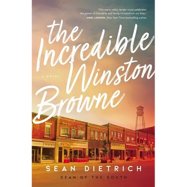 The Incredible Winston Browne: A Novel by "Sean of the South"