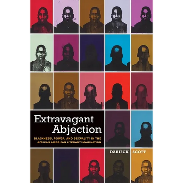 Extravagant Abjection: Blackness, Power, and Sexuality in the African American Literary Imagination