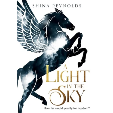 A Light in the Sky