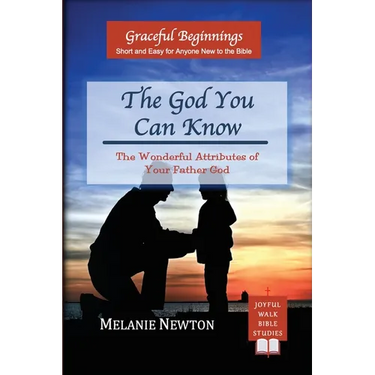 The God You Can Know: The Wonderful Attributes of Your Father God