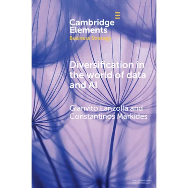 Diversification in the World of Data and AI