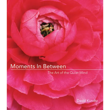 Moments in Between: The Art of the Quiet Mind (Daily Meditations; Inspiration Book for Women)