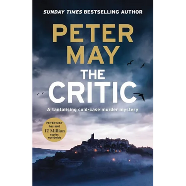 The Critic: A Tantalising Cold-Case Murder Mystery (the Enzo Files Book 2)