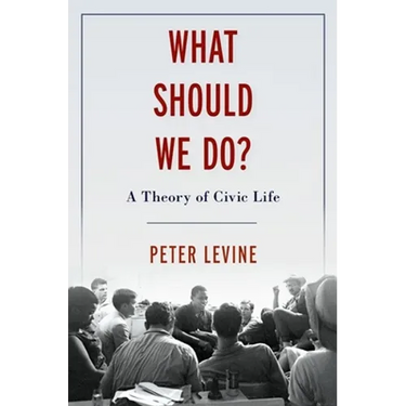 What Should We Do?: A Theory of Civic Life