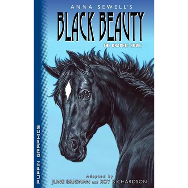 Puffin Graphics: Black Beauty