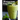 50 Delicious Blender Recipes for Home