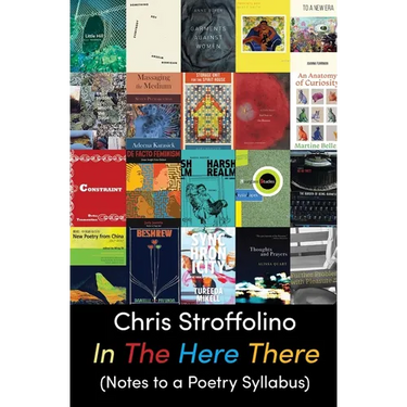 In the Here There: (Notes to a Poetry Syllabus)