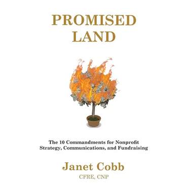 Promised Land: The 10 Commandments for Nonprofit Strategy, Communications, and Fundraising