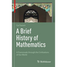 A Brief History of Mathematics: A Promenade Through the Civilizations of Our World